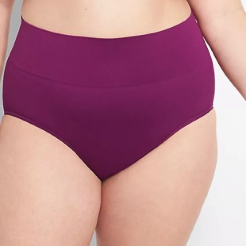 Lane Bryant/Cacique Seamless Slimming
High Waist Full Brief, New w/o Tags
